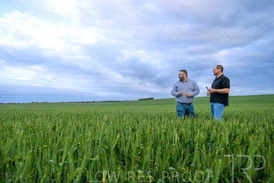 September 2024 / Malinong_SA_-Wheat-1_240925-_Z9C7246