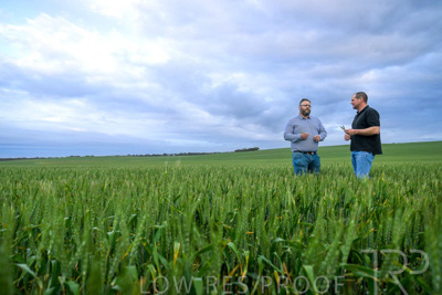 September 2024 / Malinong_SA_-Wheat-1_240925-_Z9C7251