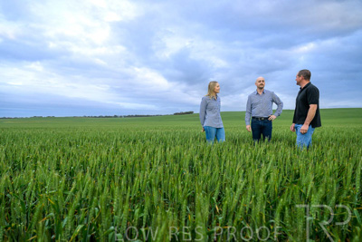 September 2024 / Malinong_SA_-Wheat-1_240925-_Z9C7266