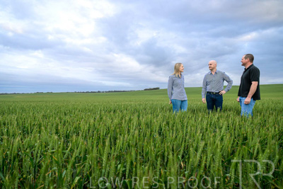 September 2024 / Malinong_SA_-Wheat-1_240925-_Z9C7270