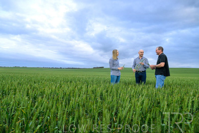 September 2024 / Malinong_SA_-Wheat-1_240925-_Z9C7298