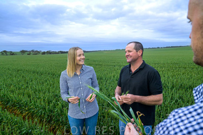 September 2024 / Malinong_SA_-Wheat-1_240925-_Z9C7314