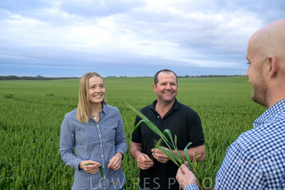 September 2024 / Malinong_SA_-Wheat-1_240925-_Z9C7325