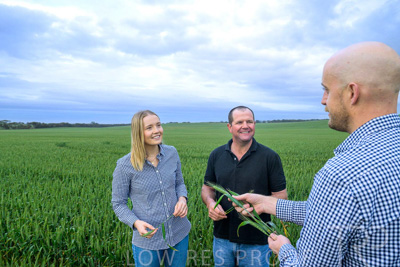 September 2024 / Malinong_SA_-Wheat-1_240925-_Z9C7338