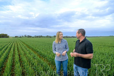 September 2024 / Malinong_SA_-Wheat-1_240925-_Z9C7347