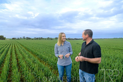 September 2024 / Malinong_SA_-Wheat-1_240925-_Z9C7350