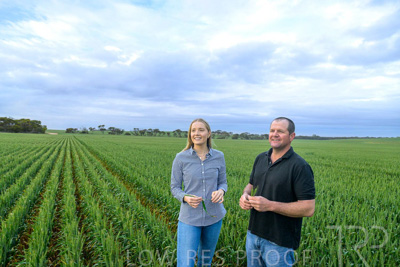 September 2024 / Malinong_SA_-Wheat-1_240925-_Z9C7351