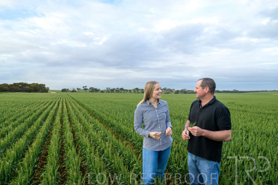 September 2024 / Malinong_SA_-Wheat-1_240925-_Z9C7360