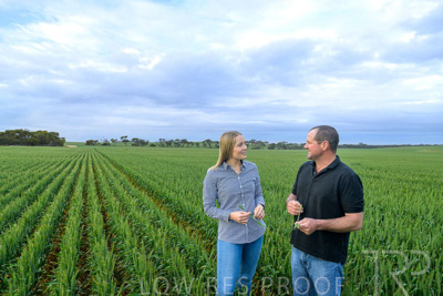 September 2024 / Malinong_SA_-Wheat-1_240925-_Z9C7362