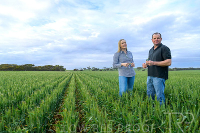 September 2024 / Malinong_SA_-Wheat-1_240925-_Z9C7381