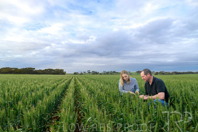 September 2024 / Malinong_SA_-Wheat-1_240925-_Z9C7392