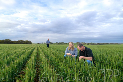 September 2024 / Malinong_SA_-Wheat-1_240925-_Z9C7396