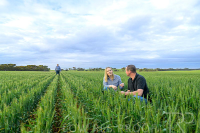 September 2024 / Malinong_SA_-Wheat-1_240925-_Z9C7425