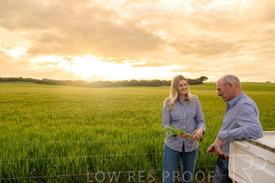 September 2024 / Malinong_SA_-Wheat-2_240925-_Z9C7498