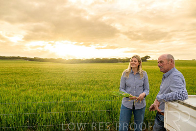 September 2024 / Malinong_SA_-Wheat-2_240925-_Z9C7503