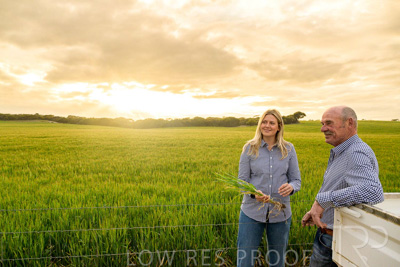 September 2024 / Malinong_SA_-Wheat-2_240925-_Z9C7506