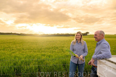September 2024 / Malinong_SA_-Wheat-2_240925-_Z9C7508