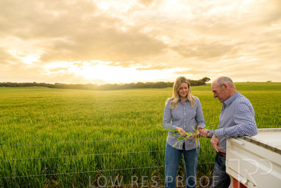 September 2024 / Malinong_SA_-Wheat-2_240925-_Z9C7513