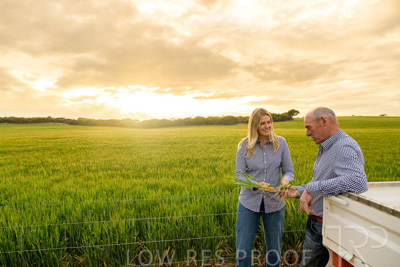 September 2024 / Malinong_SA_-Wheat-2_240925-_Z9C7515