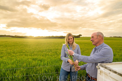 September 2024 / Malinong_SA_-Wheat-2_240925-_Z9C7533