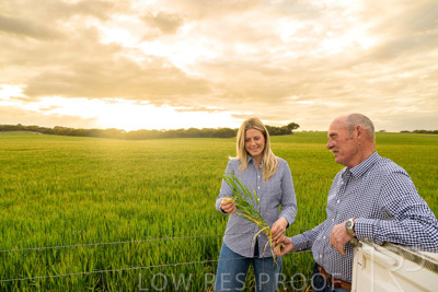 September 2024 / Malinong_SA_-Wheat-2_240925-_Z9C7535