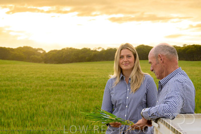 September 2024 / Malinong_SA_-Wheat-2_240925-_Z9C7551