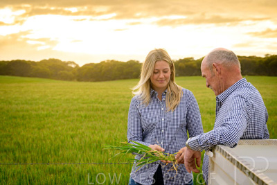 September 2024 / Malinong_SA_-Wheat-2_240925-_Z9C7583