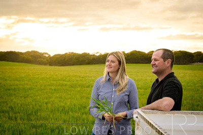 September 2024 / Malinong_SA_-Wheat-2_240925-_Z9C7589