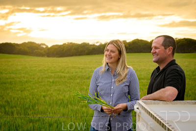 September 2024 / Malinong_SA_-Wheat-2_240925-_Z9C7594