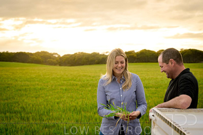 September 2024 / Malinong_SA_-Wheat-2_240925-_Z9C7607