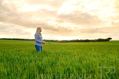 September 2024 / Malinong_SA_-Wheat-2_240925-_Z9C7613