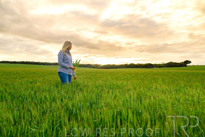 September 2024 / Malinong_SA_-Wheat-2_240925-_Z9C7615