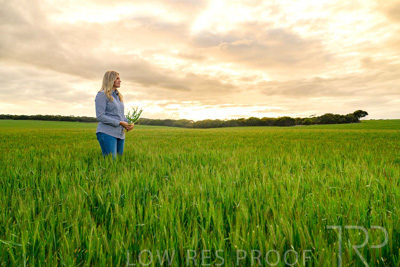 September 2024 / Malinong_SA_-Wheat-2_240925-_Z9C7618