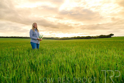 September 2024 / Malinong_SA_-Wheat-2_240925-_Z9C7622