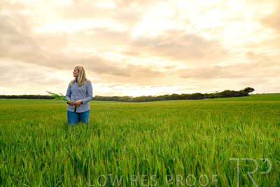 September 2024 / Malinong_SA_-Wheat-2_240925-_Z9C7627