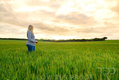 September 2024 / Malinong_SA_-Wheat-2_240925-_Z9C7631