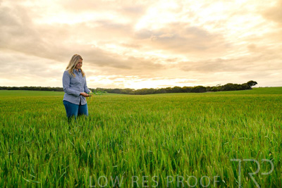 September 2024 / Malinong_SA_-Wheat-2_240925-_Z9C7638