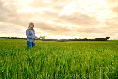 September 2024 / Malinong_SA_-Wheat-2_240925-_Z9C7644