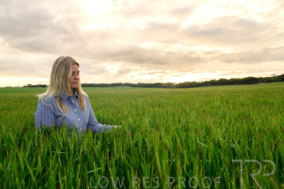 September 2024 / Malinong_SA_-Wheat-2_240925-_Z9C7652