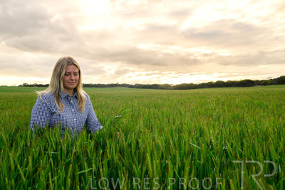 September 2024 / Malinong_SA_-Wheat-2_240925-_Z9C7655