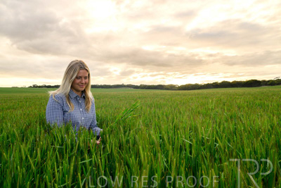 September 2024 / Malinong_SA_-Wheat-2_240925-_Z9C7660