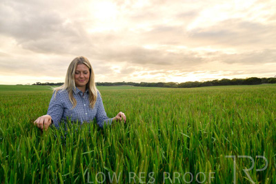 September 2024 / Malinong_SA_-Wheat-2_240925-_Z9C7666