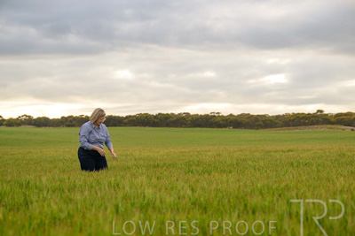 September 2024 / Malinong_SA_-Wheat-2_240925-_Z9C7697