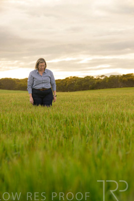 September 2024 / Malinong_SA_-Wheat-2_240925-_Z9C7718