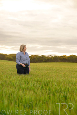 September 2024 / Malinong_SA_-Wheat-2_240925-_Z9C7738