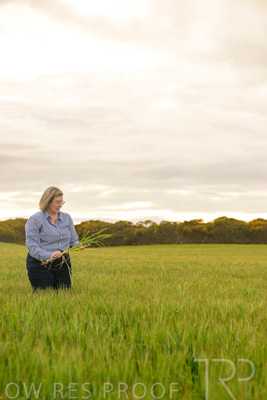 September 2024 / Malinong_SA_-Wheat-2_240925-_Z9C7744