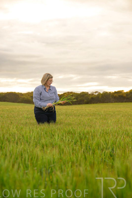 September 2024 / Malinong_SA_-Wheat-2_240925-_Z9C7746
