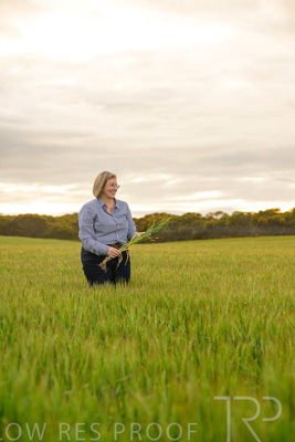 September 2024 / Malinong_SA_-Wheat-2_240925-_Z9C7749