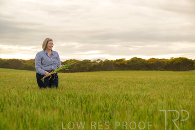 September 2024 / Malinong_SA_-Wheat-2_240925-_Z9C7755