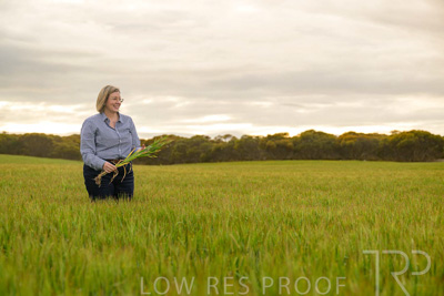 September 2024 / Malinong_SA_-Wheat-2_240925-_Z9C7757